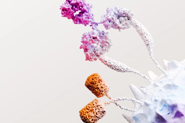 Oncohematología ciencia