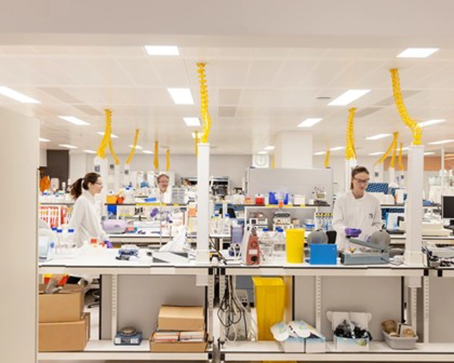 Producción y cadena de suministro