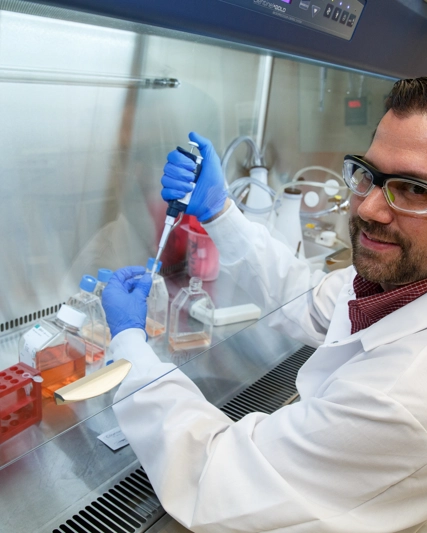 Uso de primates no humanos