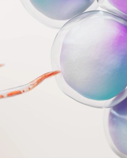 Innovación Responsable